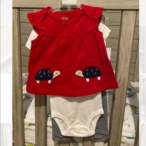 Carter’s Child of Mine 3 Piece Turtle Set 3-6 month